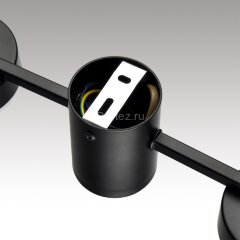 Потолочная люстра Lumion 8187/4C