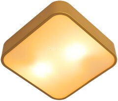 Потолочный светильник Arte Lamp A7210PL-2GO