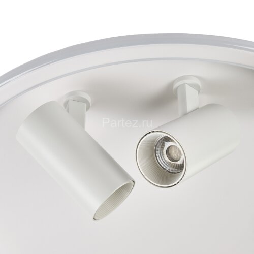 Потолочный светильник MyFar MR9050-CL