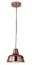 Подвесной светильник Favourite 1845-1P