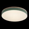 Потолочный светильник Loft It 10001/36 Green