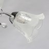 Потолочная люстра MW-Light 372015005