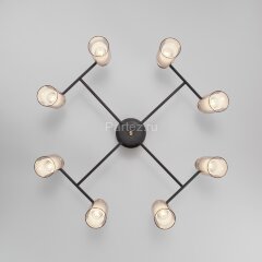 Потолочная люстра Eurosvet 70115/8 черный