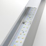 Настенный светильник Elektrostandard 101-100-30-103