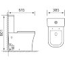Унитаз-компакт Azario Blaise 385х615х801 напольный, безободковый с быстросъемным сиденьем микролифт 