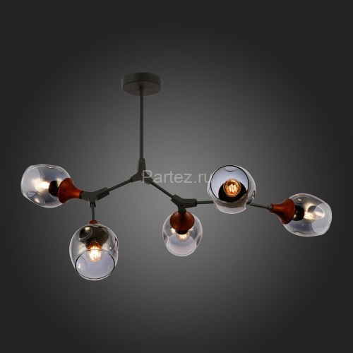 Потолочная люстра Evoluce SLE113402-05