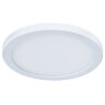 Потолочный светильник Arte Lamp A7979PL-1WH