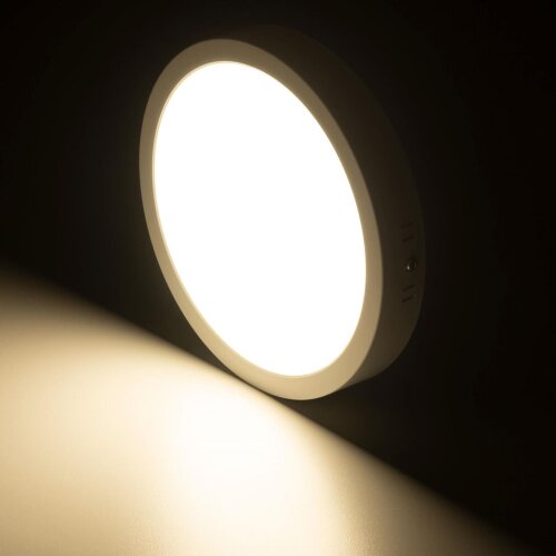Потолочный светильник Citilux CL5522N