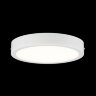 Потолочный светильник Citilux CL5522N