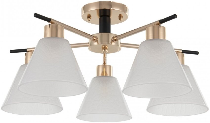 Потолочная люстра Arte Milano 322119/5 FG+BK