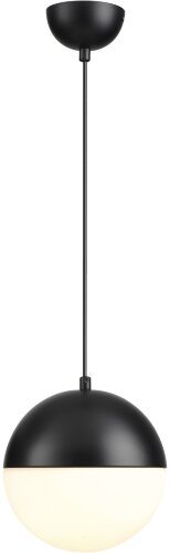 Подвесной светильник Odeon Light 4958/1A