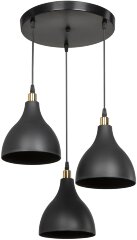 Подвесной светильник TopLight TL1615H-03BK