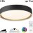 Потолочный светильник Citilux CL751251G