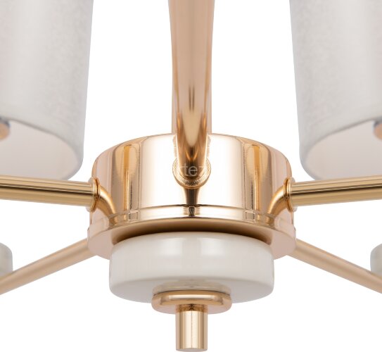 Подвесная люстра Freya FR5015PL-05G