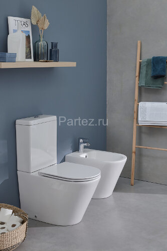 Чаша напольного унитаза Jacob Delafon Rodin+ безободковый, белый (UJAB102-00)