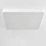 Потолочный светильник Citilux CL724K105G0