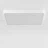 Потолочный светильник Citilux CL724K105G0