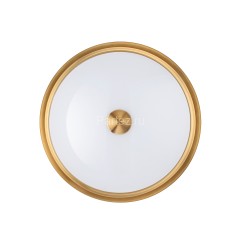 Настенно-потолочный светильник Odeon Light 4824/3C