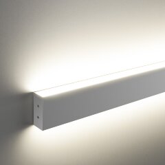 Настенный светильник Elektrostandard 101-100-40-78