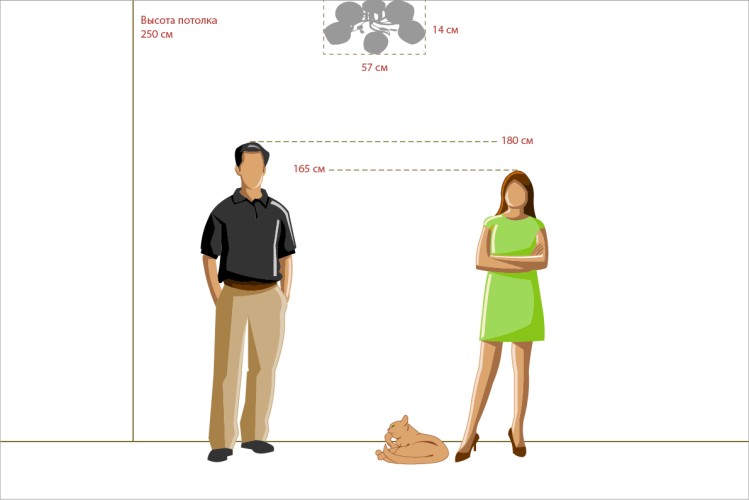 Потолочная люстра DeMarkt 677011305