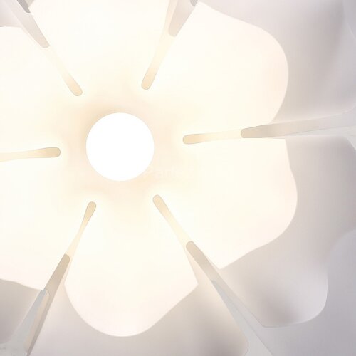 Подвесная люстра Lightera LE116L-55W