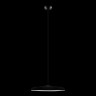 Подвесной светильник Loft It 10119 Black