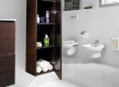 Биде подвесное Roca VICTORIA LAURA (7.3553.0.500.S)