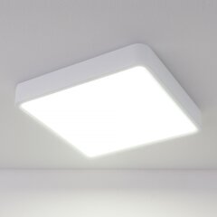 Потолочный светильник Elektrostandard DLS034 18W 4200K