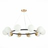 Подвесная люстра Evoluce SLE220403-10