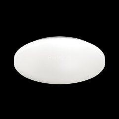 Настенно-потолочный светильник Sonex 3017/CL
