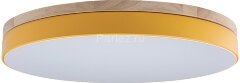 Потолочный светильник Loft It 10001/36 Yellow