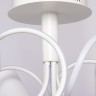 Потолочная люстра MW-Light 480012505