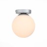 Настенно-потолочный светильник ST Luce SL717.501.01
