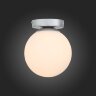 Настенно-потолочный светильник ST Luce SL717.501.01