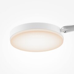 Потолочная люстра Maytoni MOD070CL-L30W3K