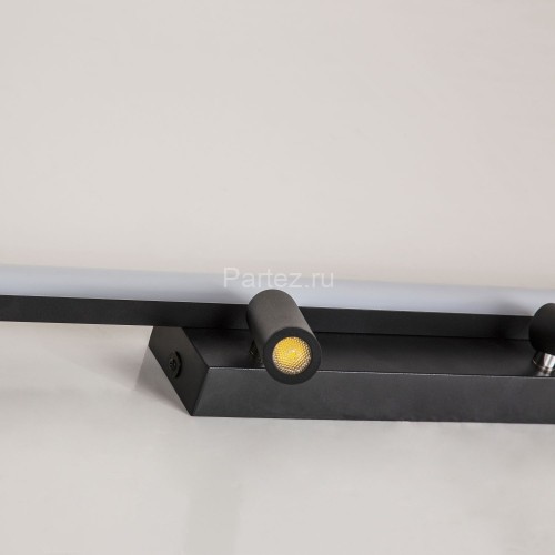 Настенно-потолочный светильник Favourite 4089-2C