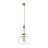 Подвесной светильник Odeon Light 4855/1A