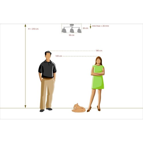 Потолочная люстра DeMarkt 673014303