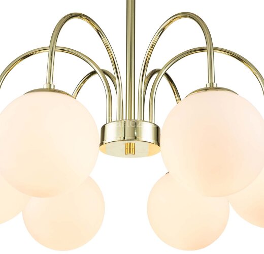 Потолочная люстра Indigo V000325