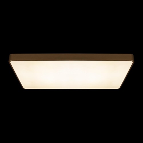 Потолочный светильник Loft It 10228/E