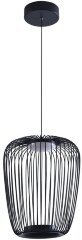Подвесной светильник Arte Lamp A3528SP-12BK
