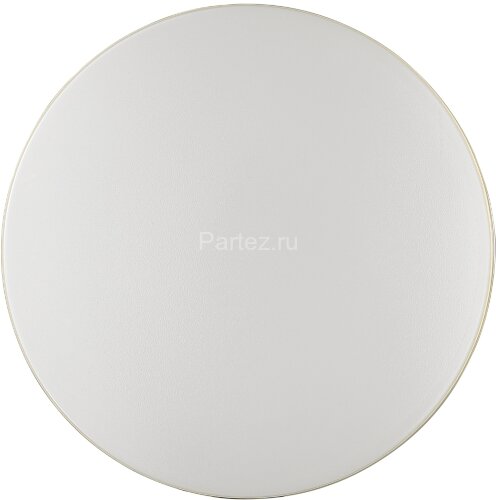 Настенно-потолочный светильник Sonex 3066/AL