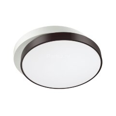 Потолочный светильник Lumion 4509/72CL