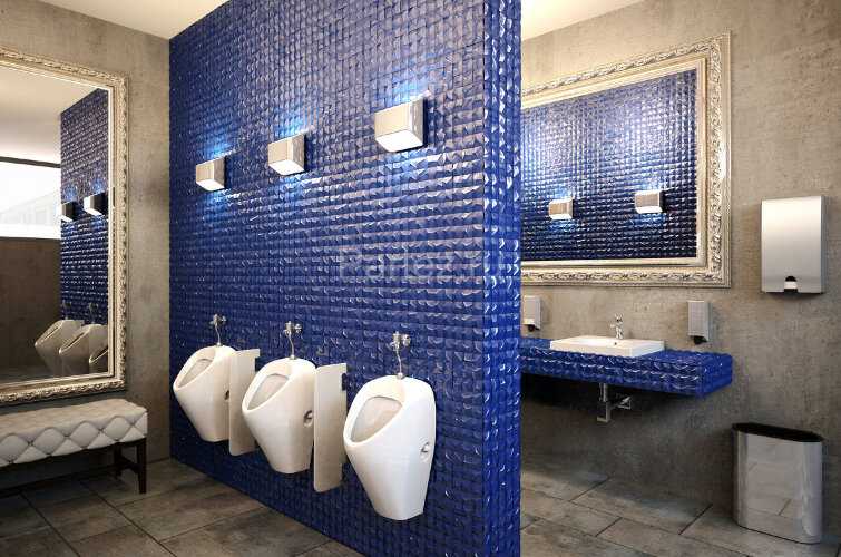 Писсуар Sanita Luxe LONG 35х33х56 белый (LNGSLUR01)