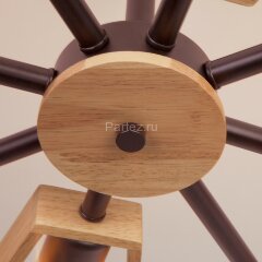 Потолочная люстра Eurosvet 70056/8 черный