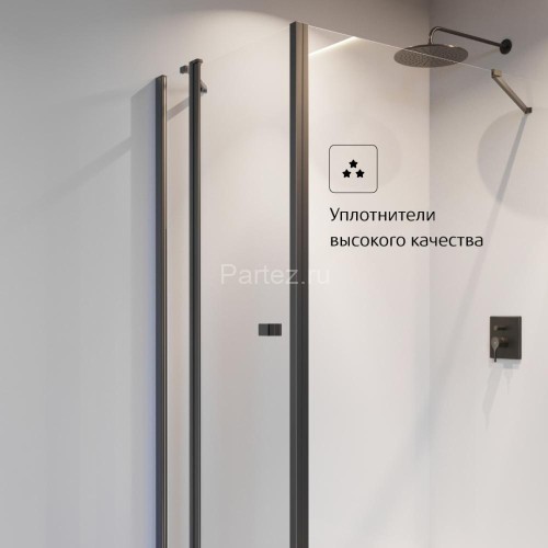 Душевая дверь Roca CAPITAL распашная 100х195, толщина полотна 6мм универсальная, цвет профиля черный