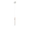 Подвесной светильник ST Luce SL1592.503.01
