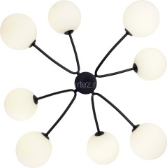 Потолочная люстра Zortes ZRS.1178.08