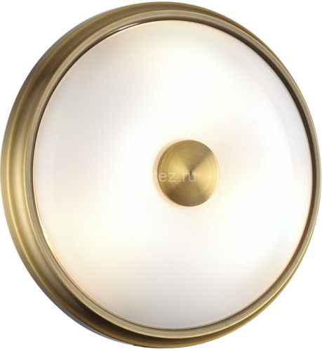 Настенно-потолочный светильник Odeon Light 4956/2