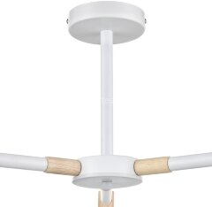 Потолочная люстра Lumion 8097/3C